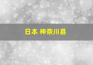 日本 神奈川县